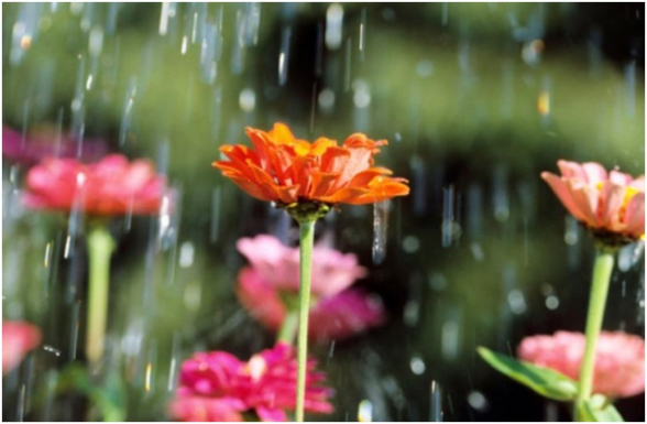 Հնարավոր է կարճատև անձրև և ամպրոպ. օդի ջերմաստիճանն աստիճանաբար կնվազի 2-3 աստիճանով